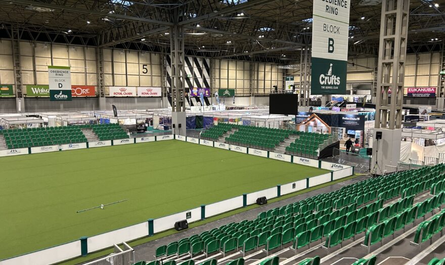 Temporary grandstand seating at Crufts, supplied by GL events UK